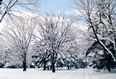 雪景