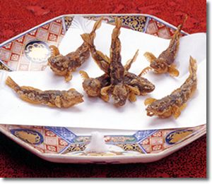 �Ÿ�������