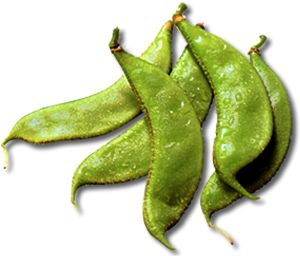 Ӻ޺