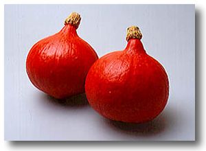 ��Ƥ�����Ϲ�