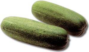 �[�P�ʶ���